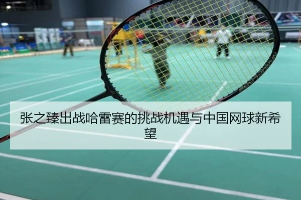 张之臻出战哈雷赛的挑战机遇与中国网球新希望